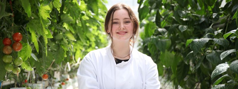 Horticulture Award Winning Students Reaseheath College - Artistic HD Nature Wallpapers | Free Download