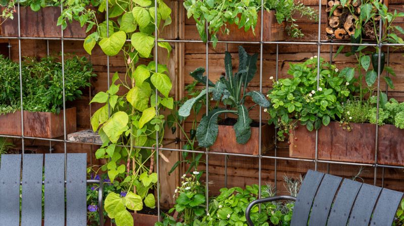 Student Helps To Build Award Winning Show Garden Reaseheath College - Ultra HD City Illustrations for Desktop