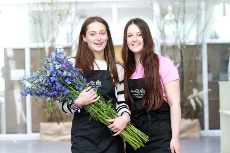 Rh020523 160 Reaseheath College - High Quality Landscape Art - Desktop