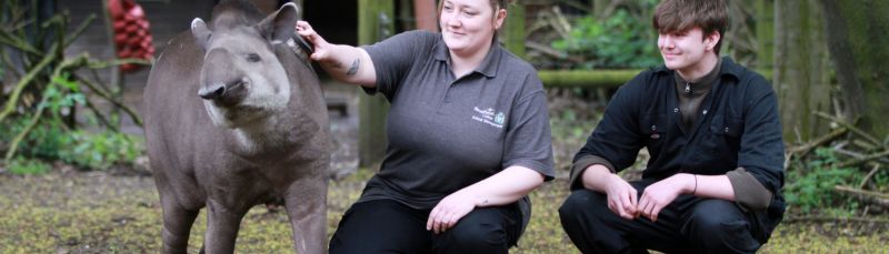 What It S Like To Study Animal Management At Reaseheath By Niamh Hearty - High Quality High Resolution Geometric Pictures | Free Download