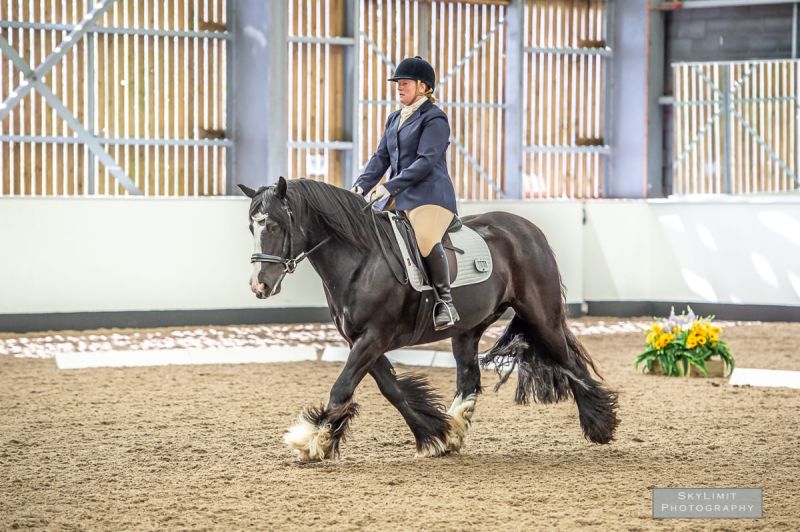 Unaffiliated Dressage Reaseheath College - Best Colorful Wallpapers in 4K