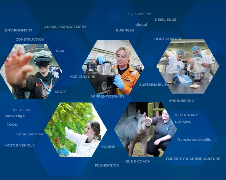 Strategic Plan Cover Reaseheath College - HD Vintage Arts for Desktop