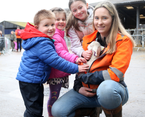 Reaseheath College Lambing Weekends Return Reaseheath College - Download Beautiful Gradient Pattern | Retina