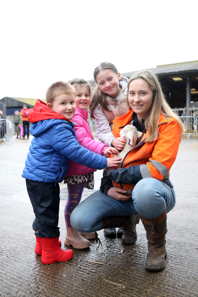 Lambing Slider Reaseheath College - Dark Arts - Gorgeous 4K Collection