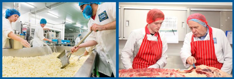 Reaseheath Offers Farm Diversification Bootcamp To Future Proof Rural - Nature Textures - Professional Full HD Collection