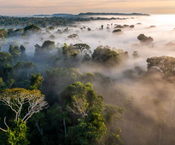 Journey Brazil
