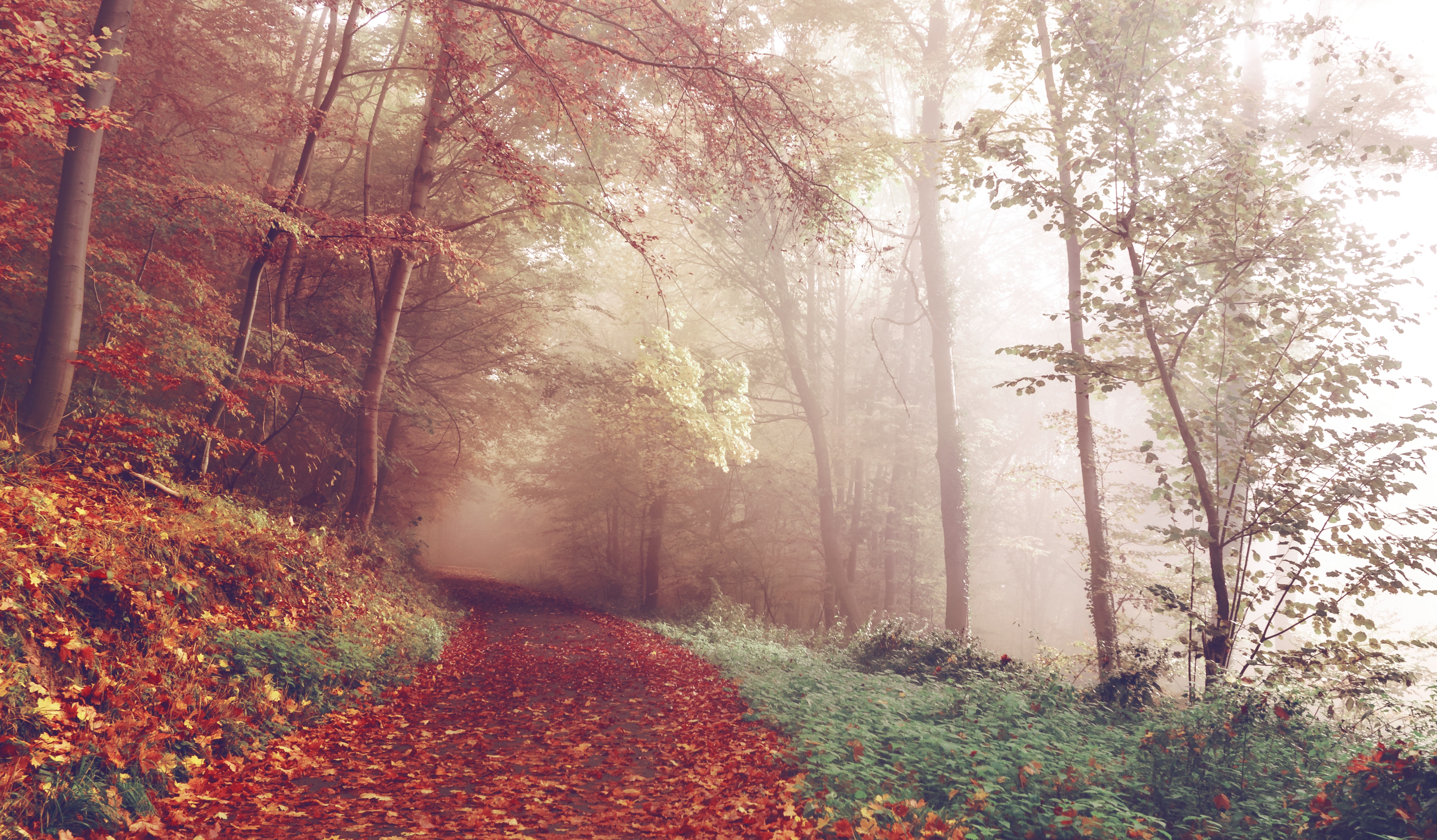 The Provocation of Retreat