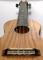 Ukulele Strings The Best Set For Your Uke Two months into quarantine just as my surroundings were becoming particularly monotonous I had the good fortune to receive a box of ukuleles from Enya to review.
