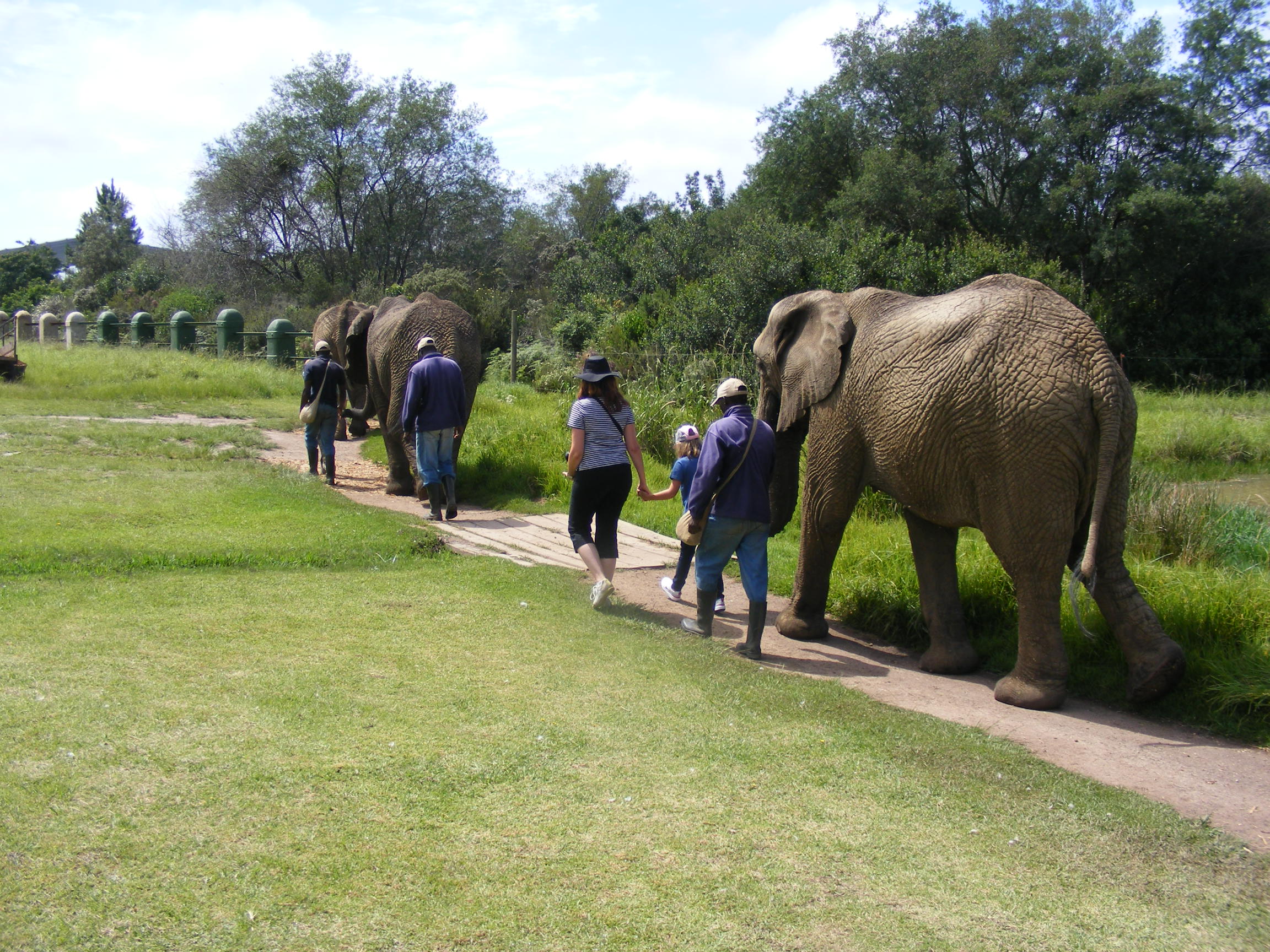 6 Day Kruger National Park Fun Safari Tour South Africa