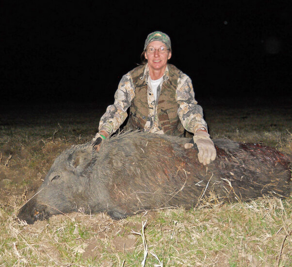 Hunting this alien invader is encouraged. North Texas Hog Hunts Red River Boar Hunting Trips Wild Hog Hunting Trips In Texas Dogs Pig Hunt Trophy Boar Fun Hunting Trips