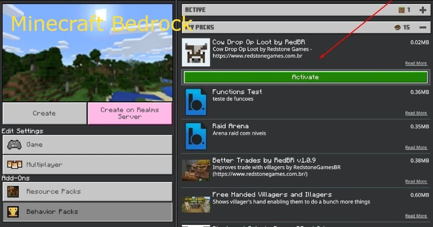 Bedrock Installation Step 2