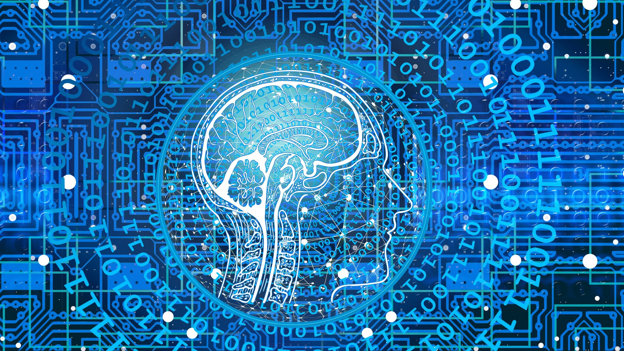 Computer Science Brain