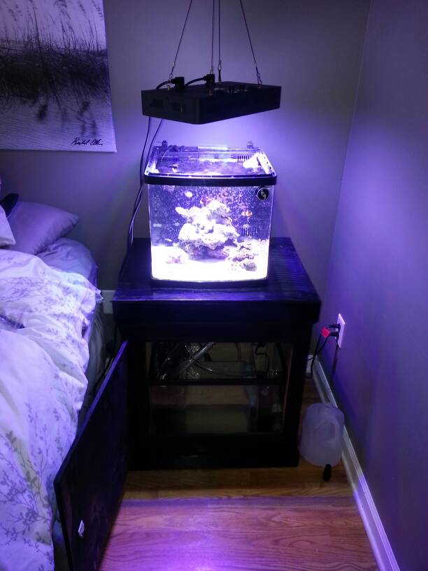 Led Biocube Coralife Marine Freshwater Aquarium Supplies With multiple mounting options and 40 carefully selected LEDs this.