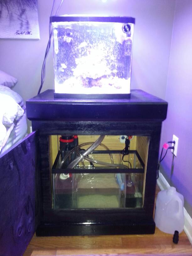 Led Biocube Coralife Marine Freshwater Aquarium Supplies 
