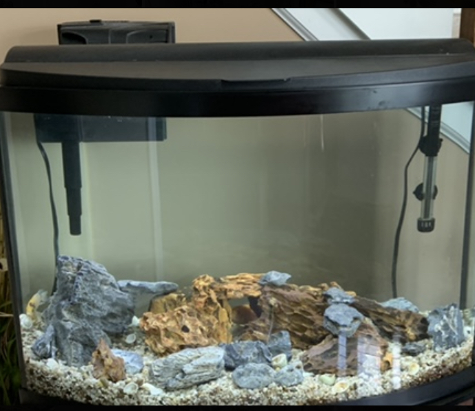 36 Gallon Bowfront Top Fin From Petsmart Reef2reef Saltwater And Reef Aquarium Forum In this video I give you my thoughts on this Top Fin 36 Gallon bow front combo that comes with the Tank stand hood and light.