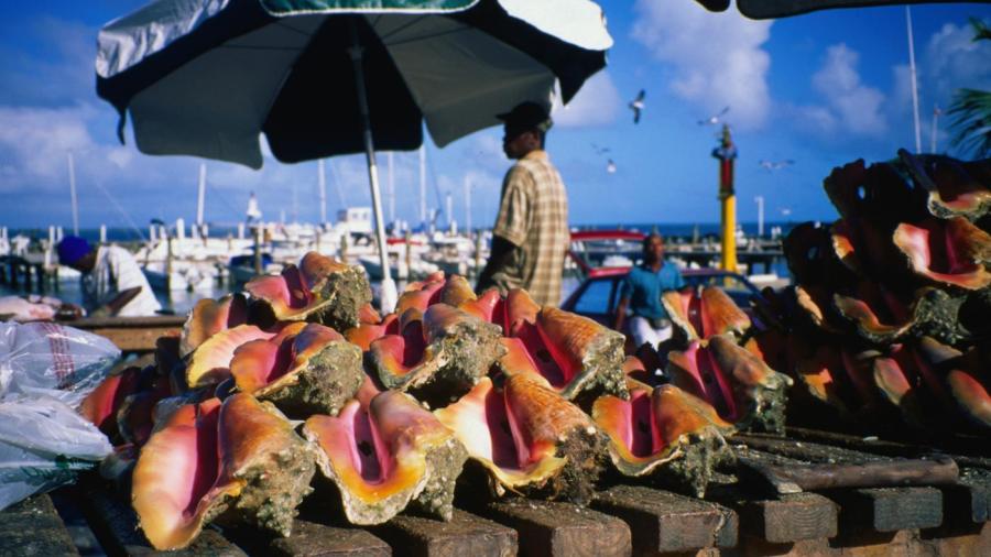 What currency is used in nassau in the bahamas?