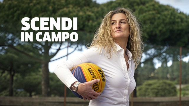 basket