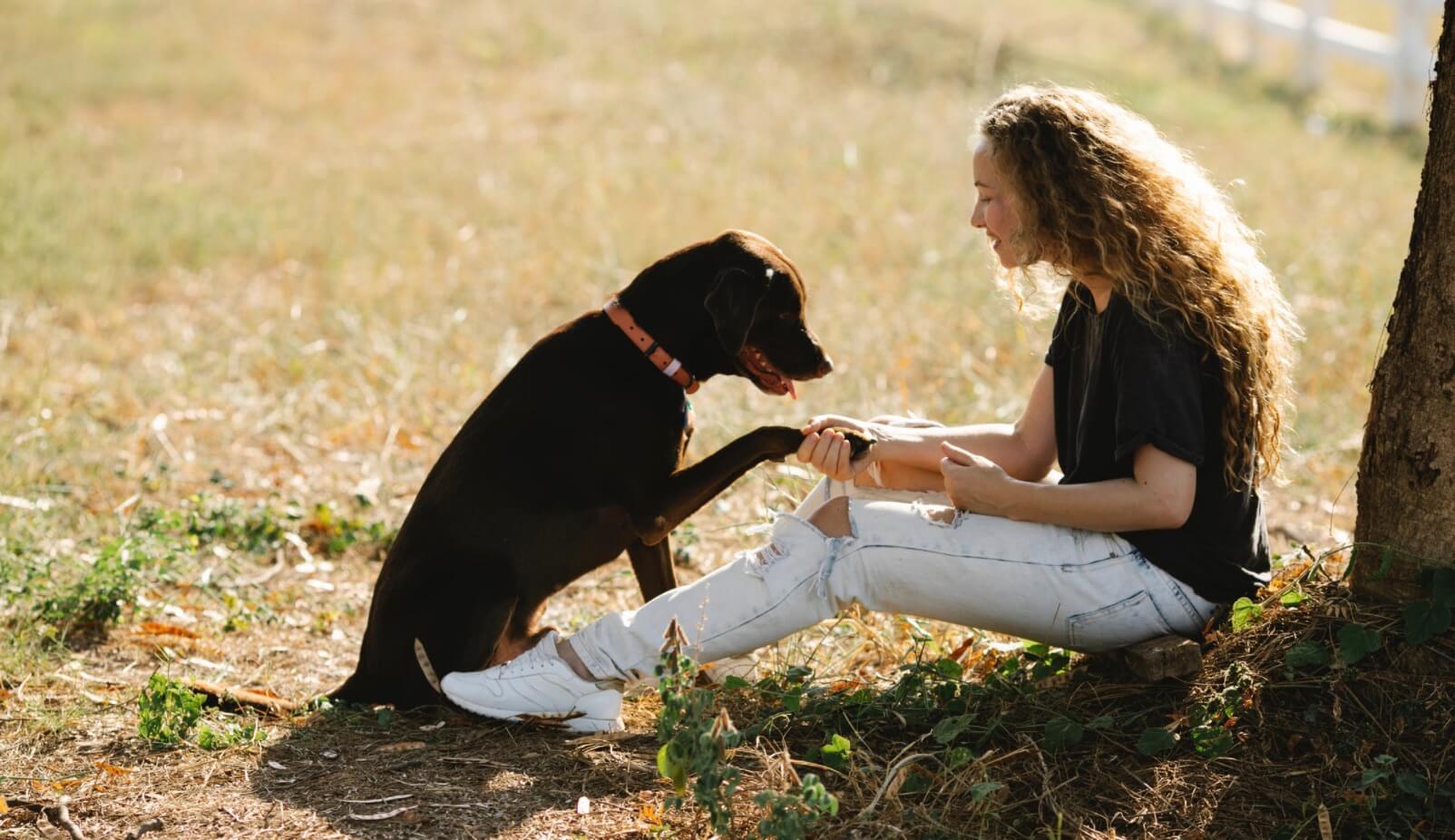 14 Best Dog Training Apps for Android and iOS REGENDUS