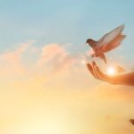 Reiki Practitioner and Master Teacher