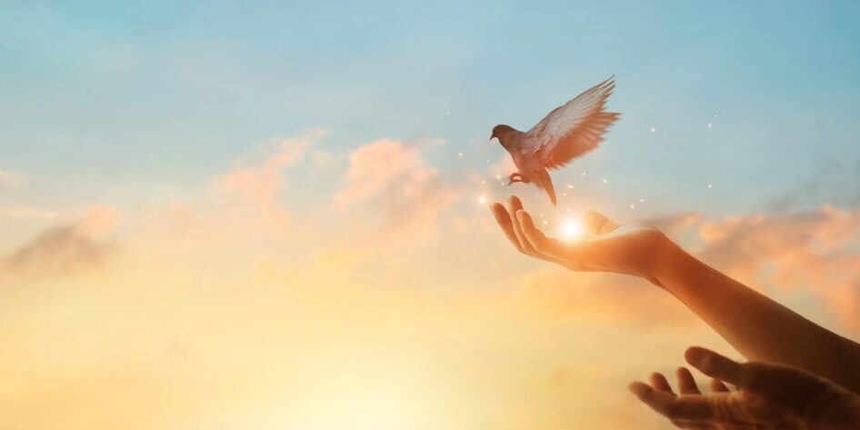 Reiki Practitioner and Master Teacher