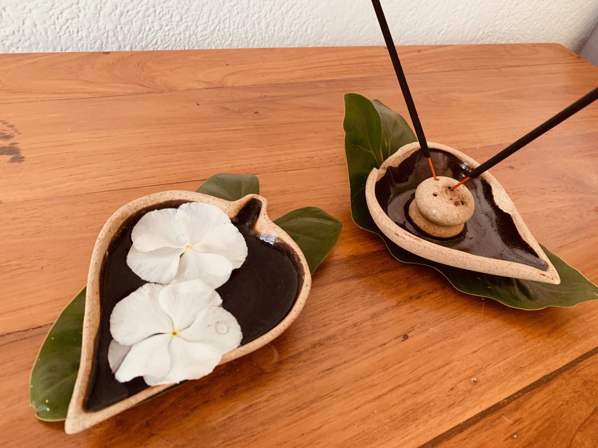 Barberyn ayurvedic beach resort weligama - røgelse - rejser