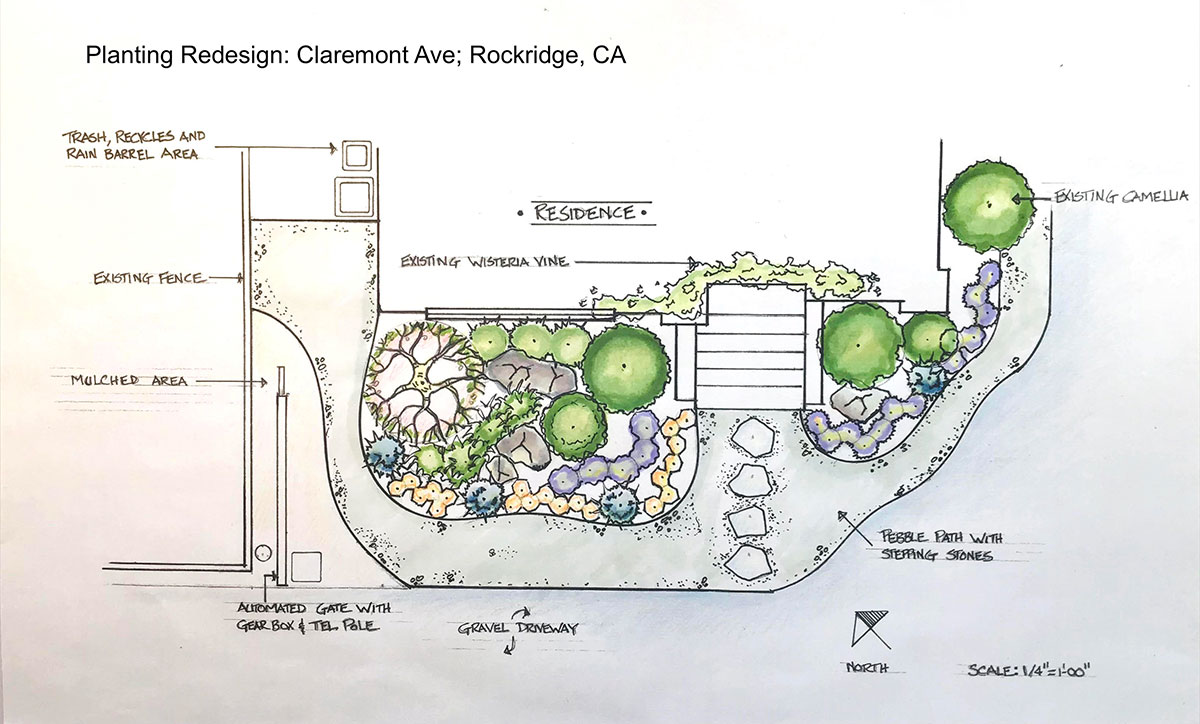 planting redesign claremont ave rockridge ca