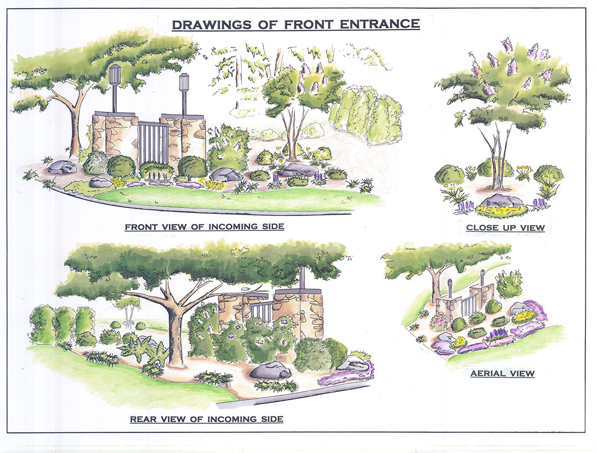 hand rendering of landscaping