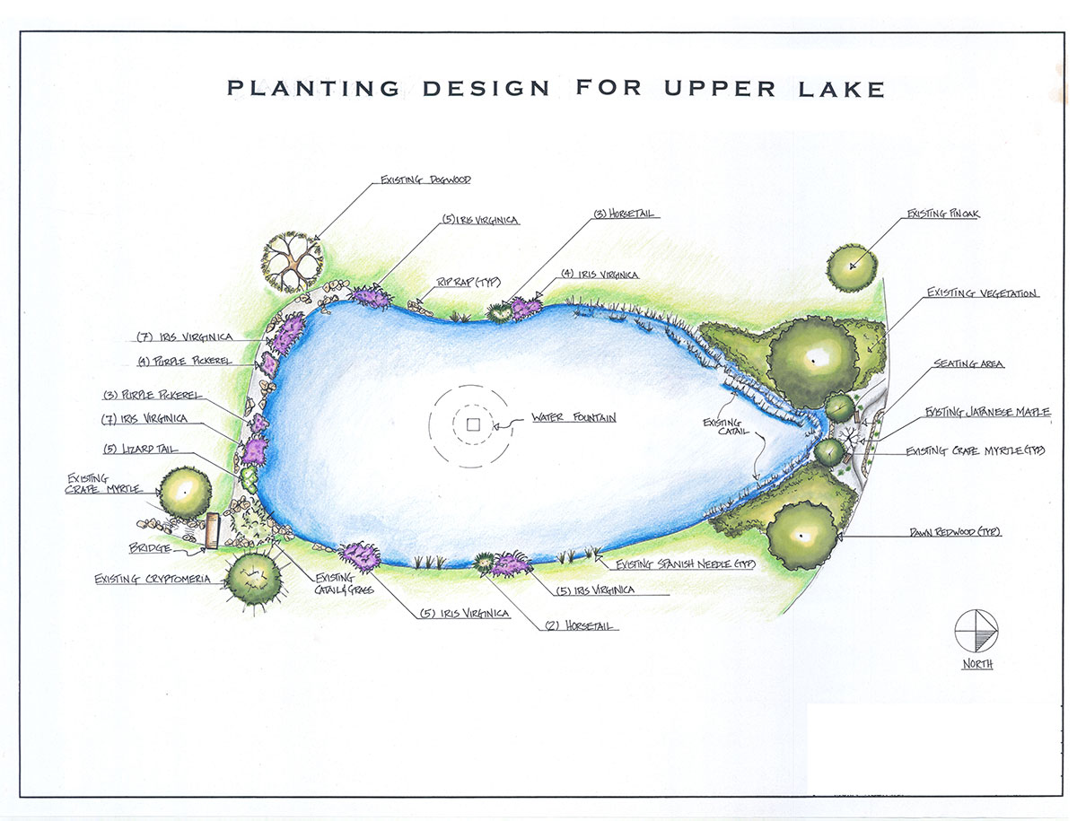 planting design for upper lake