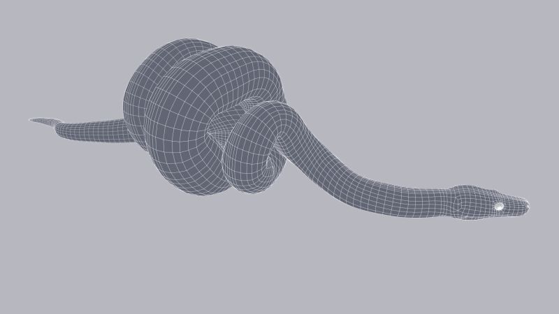 Scrub Python Animated Flippednormals - Download Elegant Abstract Texture | 8K