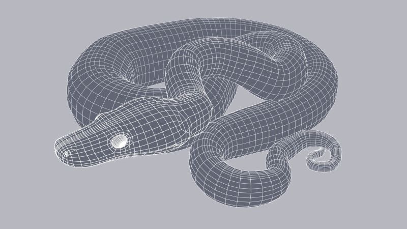 Scrub Python Animated Flippednormals - Download Perfect Landscape Illustration | High Resolution