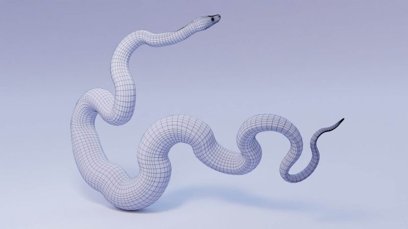 Reticulated Python Animated 3d Model By Dibia Digital - Vintage Textures - Beautiful HD Collection