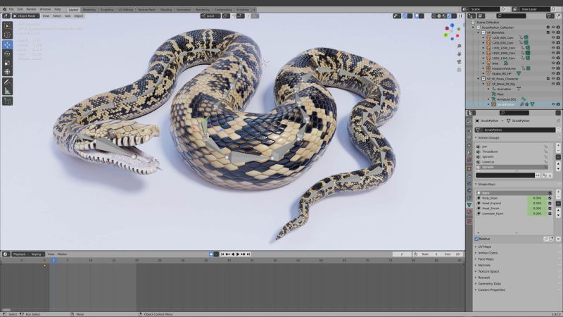 Rigged Scrub Python 3d Model By Dibia Digital - HD City Images for Desktop
