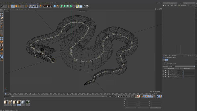 Rigged Scrub Python 3d Model By Dibia Digital - Desktop Ocean Illustrations for Desktop