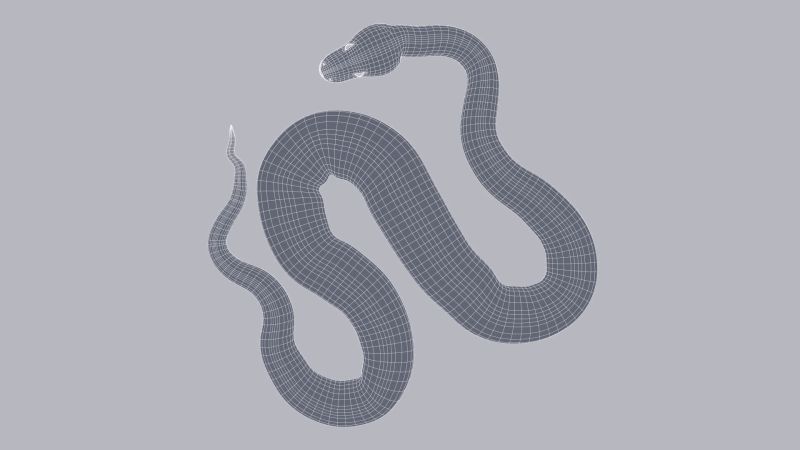 Rigged Scrub Python 3d Model By Dibia Digital - Ultra HD Mobile Vintage Photos | Free Download