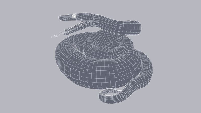 Rigged Scrub Python 3d Model By Dibia Digital - Premium Mobile Colorful Wallpapers | Free Download
