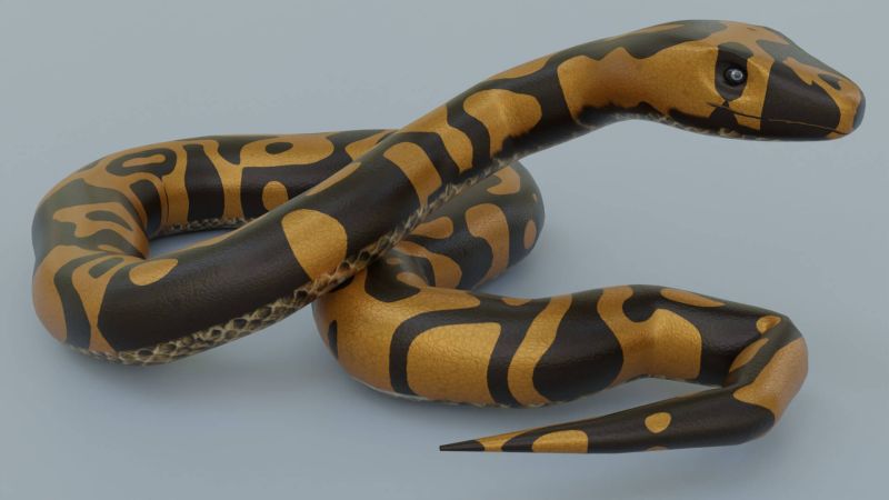 Python Snake 3d Model By Sathak - Dark Backgrounds - High Quality High Resolution Collection