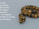 Python Snake 3d Model By Sathak