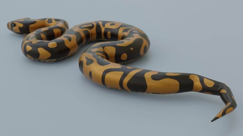 Python Snake 3d Model By Sathak - Desktop Dark Photos for Desktop