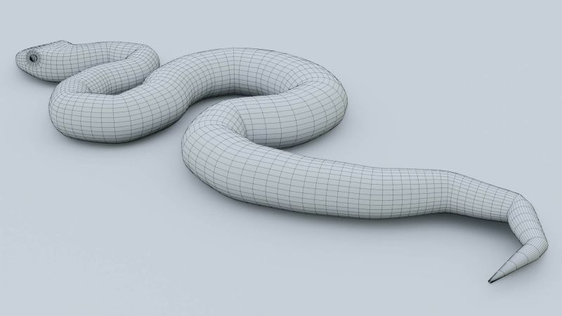 Python Snake 3d Model By Sathak - Download Stunning Space Picture | High Resolution