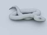 Python Snake 3d Model By Sathak