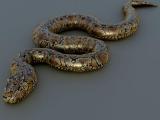 Python Snake 3d Model By Sathak