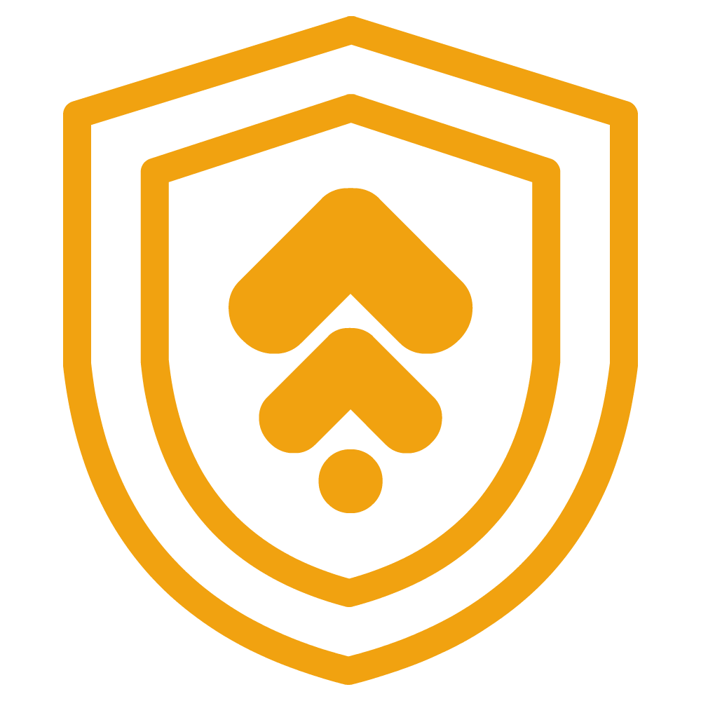 Acceleration for ZTNA - icon