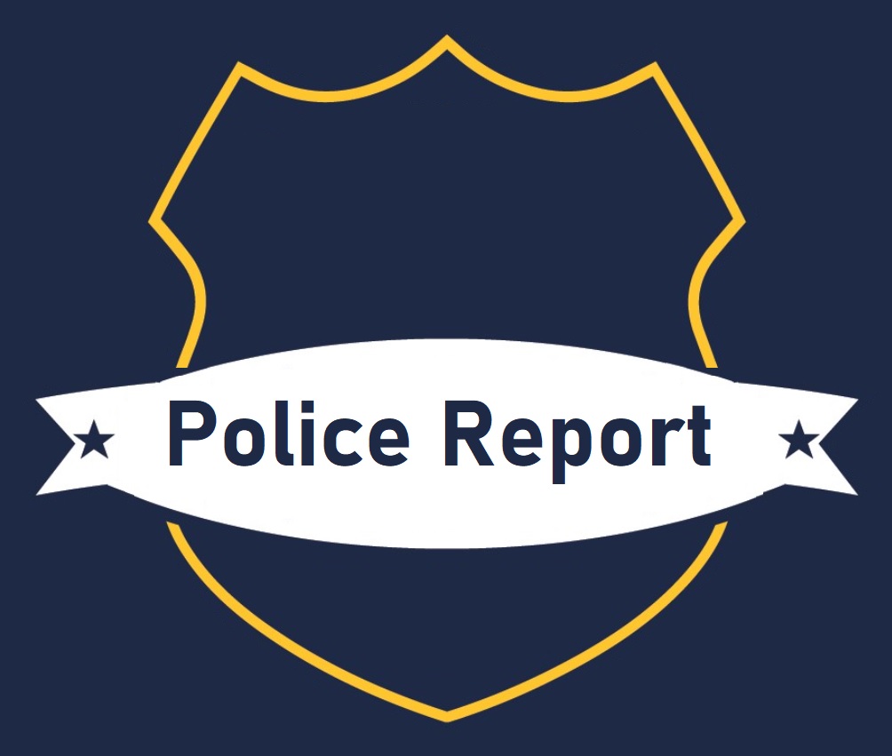 Police Report Examples