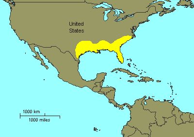 American Alligator Facts And Pictures American Alligator Range Map 