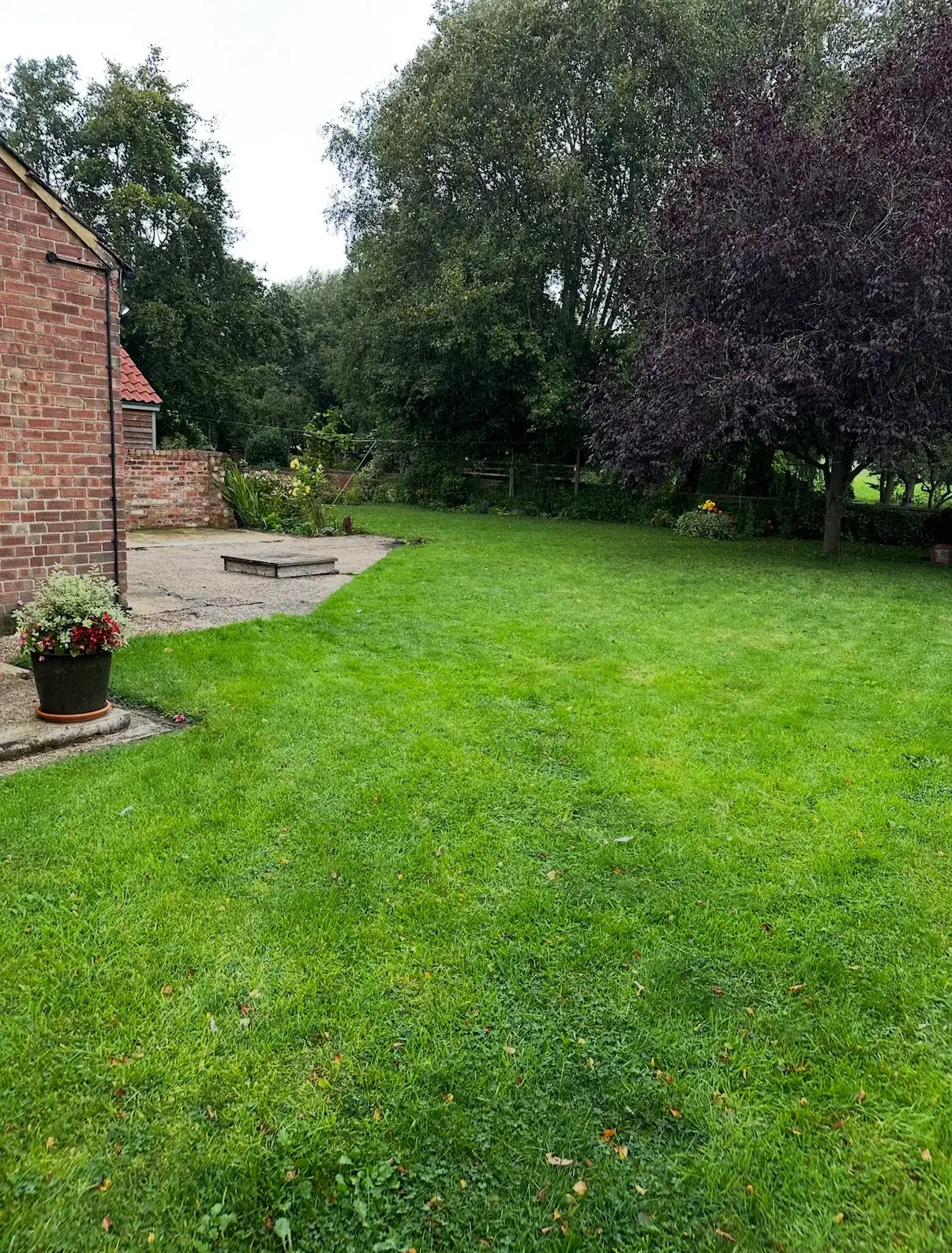 Garden landscapers in Lincoln assessing grass area before landscaping work