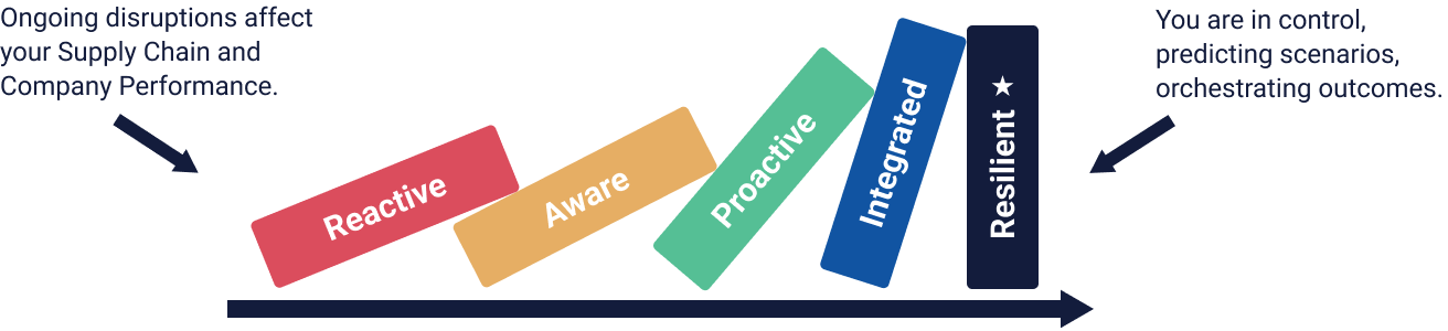 Supply chain advisory services & optimization