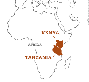 Tanzania Map Showing Kenya Kenya And Tanzania Summary Topbox Map 