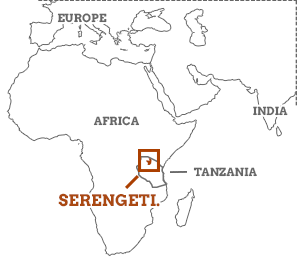 Serengeti Travel Guide Serengeti Summary Topbox Map 