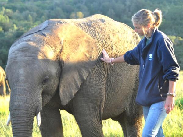 Volunteering With Animals Vacations Helping Dreamers Do