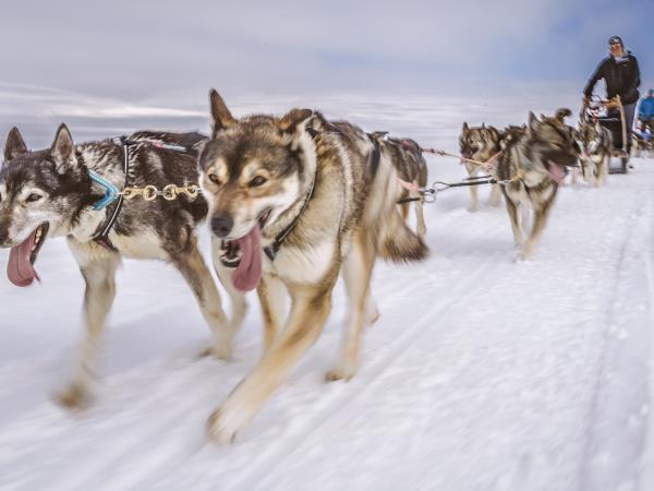 Finland Vacations Tours Vacations In Finland In 2019 2020